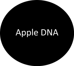 Apple DNA | Apple Used Autos Shakopee in Shakopee MN